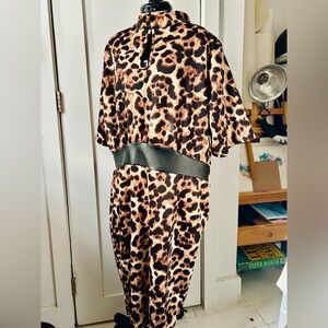 Ashley Stewart Animal Print Dress with Black Trim